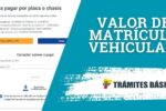 Cómo Consultar y Pagar el Valor de la Matrícula Vehicular en la ANT de Ecuador: Guía Paso a Paso