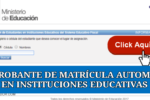Guía Completa para Registrar la Matrícula Automática de Estudiantes en el Sistema del Ministerio de Educación de Ecuador