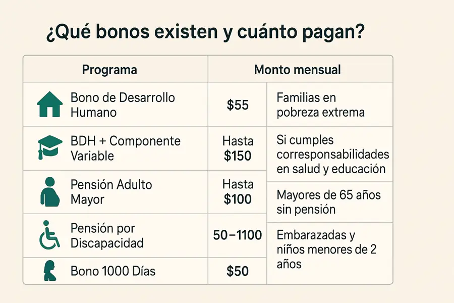 mies consulta bono
