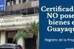 Cómo obtener el Certificado de no poseer bienes en Guayaquil: Guía paso a paso del Registro de la Propiedad