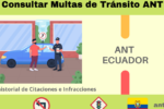 Guía Completa para la Sustitución de Multas de Tránsito por la ATM en Ecuador: Pasos y Requisitos